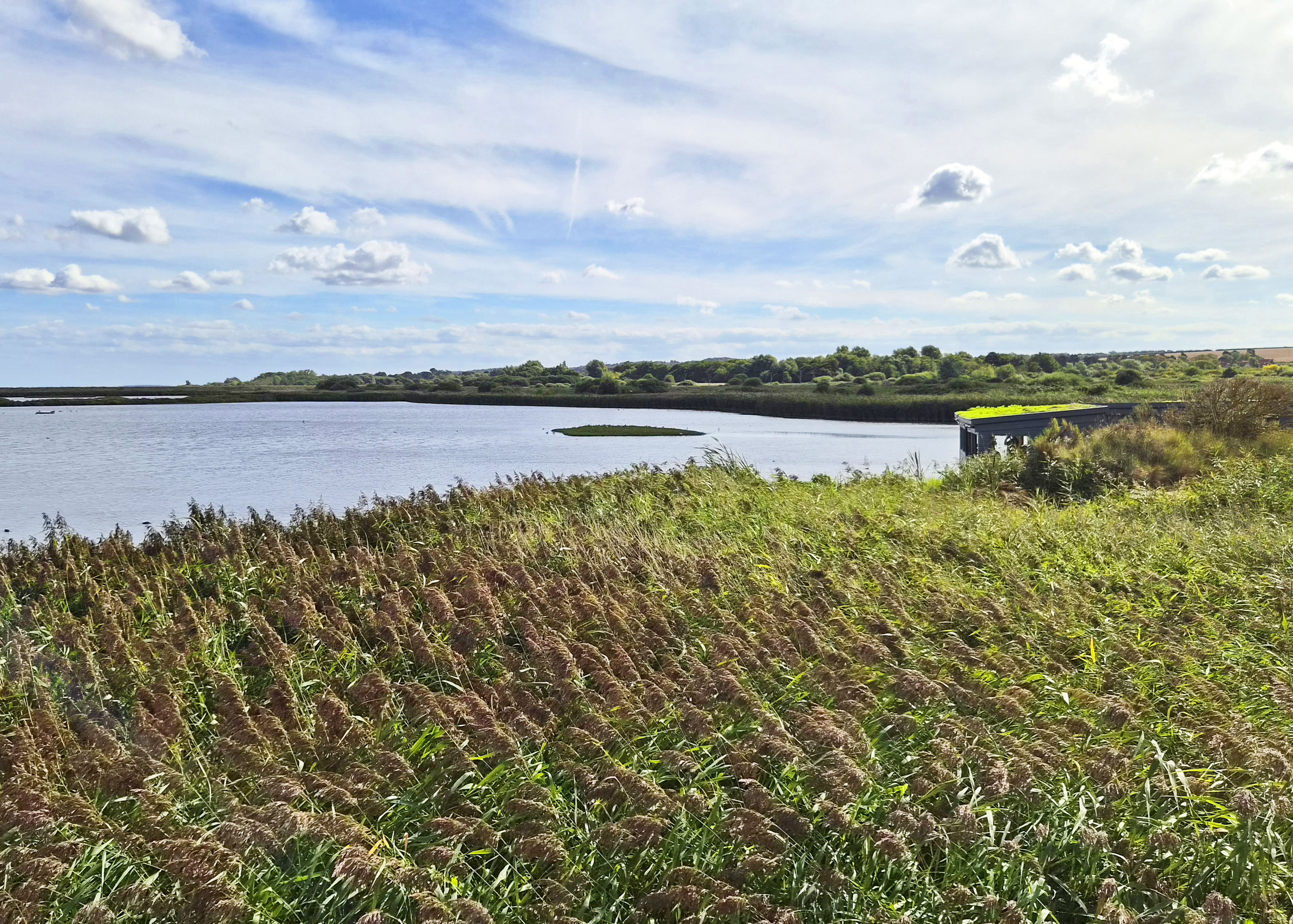 Titchwell Marsh